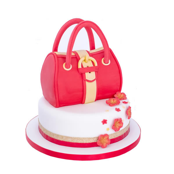 fondant bag cake